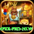 winpkr Pro New
